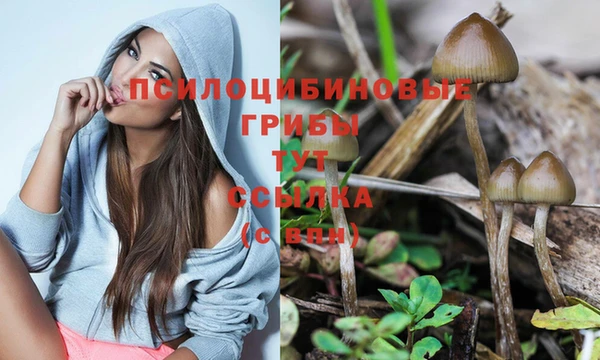 спайс Абинск